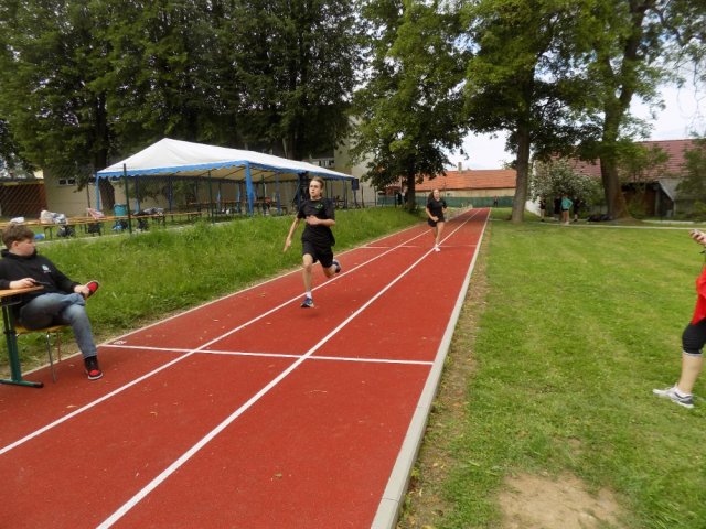 bernartickysurvival3 31